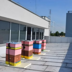 Ule na budynku WIMiC AGH